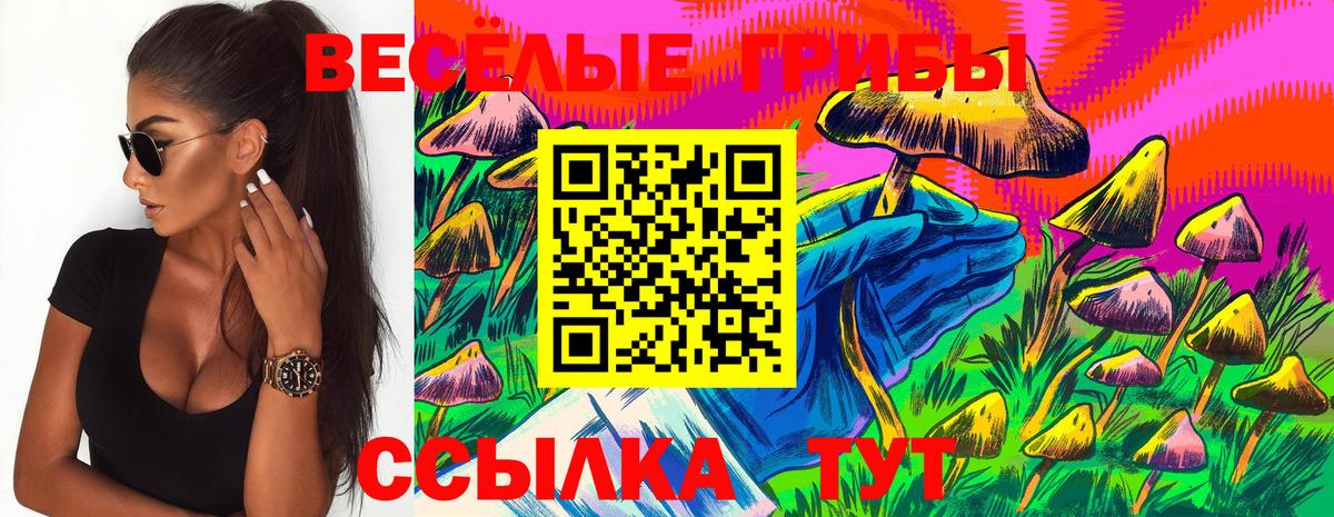 Галлюциногенные грибы Magic Shrooms Мурманск